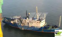 Soporte para buceo en venta