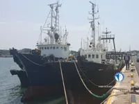 Arrastrero en venta