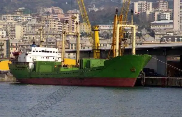 Buque granelero en venta