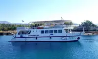 Catamarán en venta