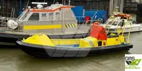 Barcos de trabajo en venta