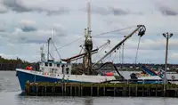 Arrastrero de cerco en venta