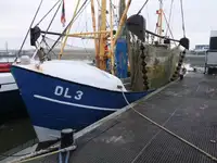 Arrastrero en venta