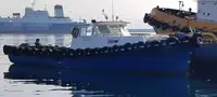 Barcos de trabajo en venta