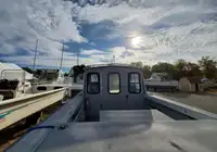 Barcos de trabajo en venta