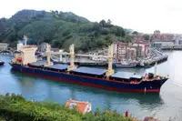 Granelero en venta