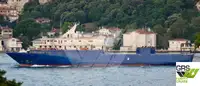 Ro-Ro ship en venta