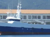 Arrastrero en venta