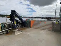 Catamarán en venta