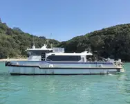 Catamarán en venta