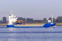Granelero en venta