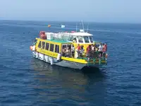 Buque de ferry en venta