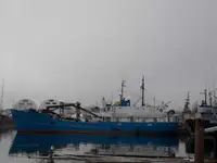 Granelero en venta