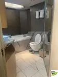 Buque de crucero en venta