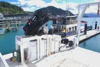 Catamarán en venta