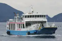 Buque Ro-Ro en venta