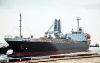 Granelero en venta