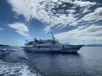 Buque de crucero en venta