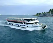Barco de transbordador en venta