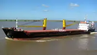 Granelero en venta