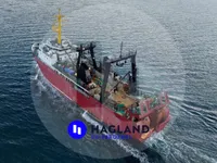 Gran arrastrero congelador en venta