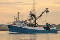 Purse seiner en venta