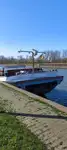 Buque granelero en venta