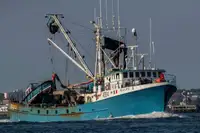Purse seiner en venta