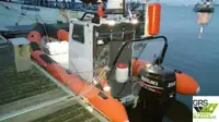 Bote inflable rígido en venta