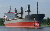 Granelero en venta
