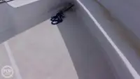 Soporte para buceo en venta