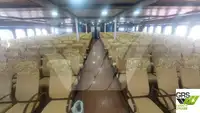 Buque Ro-Ro en venta