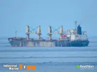 Granelero en venta