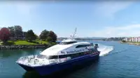 Catamarán en venta
