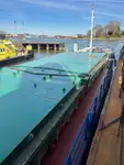 Buque granelero en venta