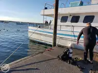 Buque de ferry en venta