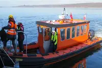Bote inflable rígido en venta