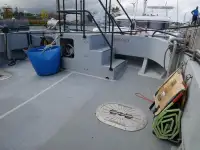 Catamarán en venta