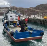 Embarcaciones de trabajo en venta