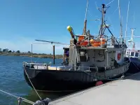 Palangrero en venta