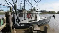 Trawler en venta