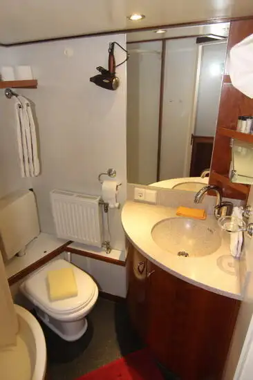 Buque de crucero en venta