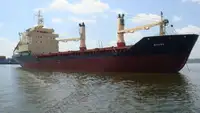 Buque granelero en venta