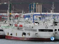 Palangrero en venta