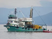 Arrastrero de cerco en venta