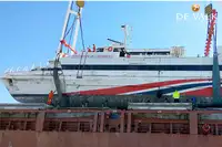 Catamarán en venta