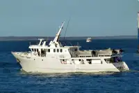 Arrastrero en venta