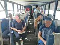 Anfibio en venta