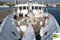 Buque de crucero en venta