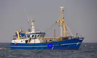 Arrastrero de viga en venta